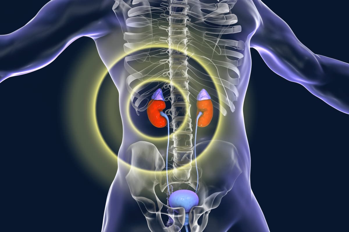 Adrenal Gland Surgery