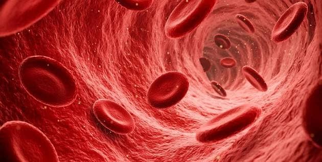 Aplastic Anemia Treatment