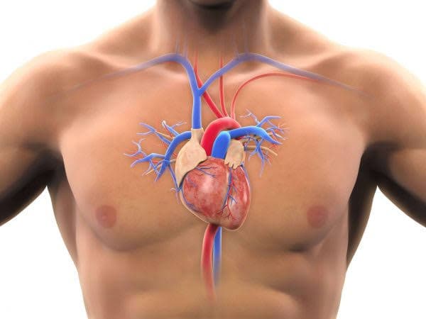 Coronary artery bypass surgery (CABG)