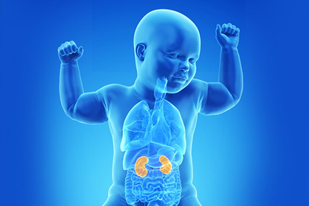 Pediatric Nephrology