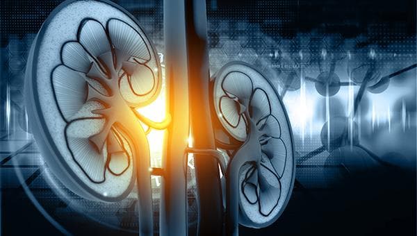 Renal Hypertension Treatment