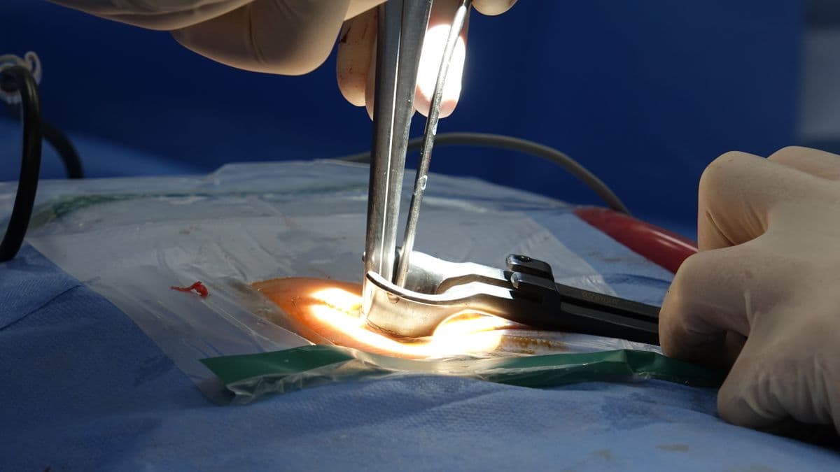 Herniated Disc Treatment