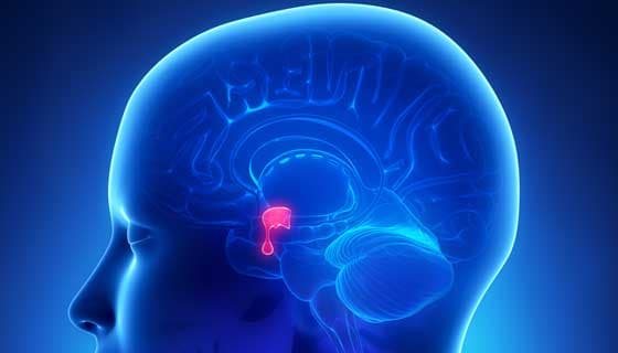 Pituitary Tumor Treatment