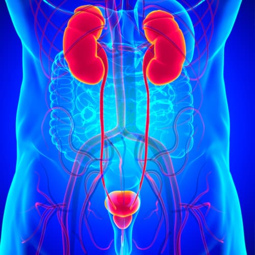 Urological Reconstruction