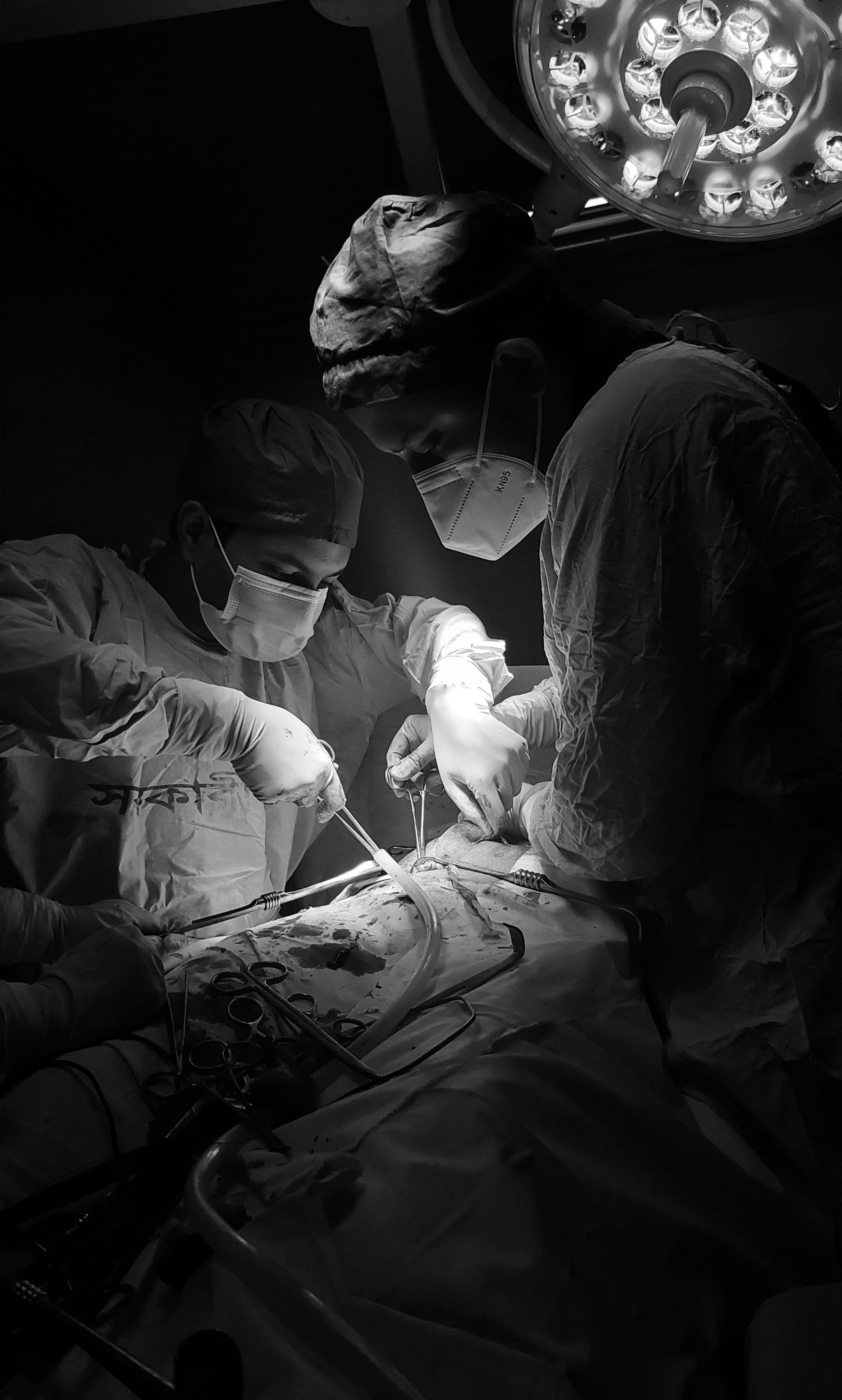 Liver Transplant