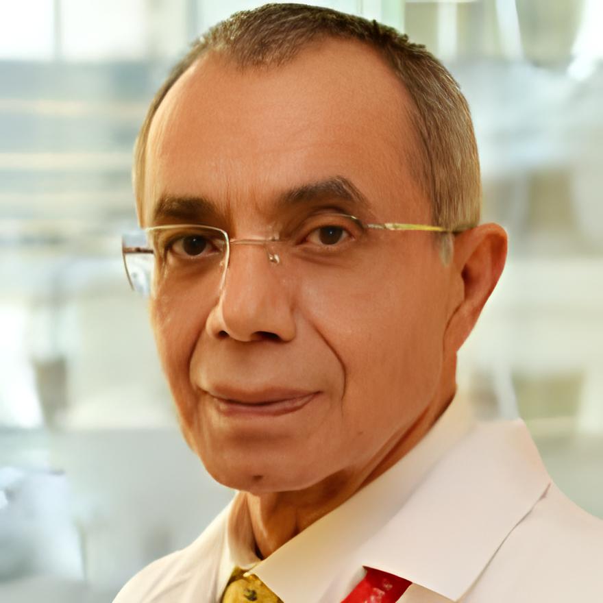 Prof. Adnan Isgor